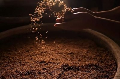 ​泸州老窖酒香珍6藏(泸州老窖酒香珍品52度)