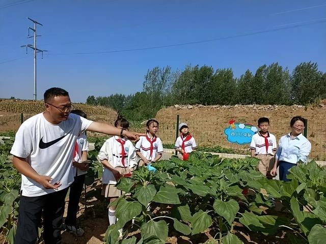 南阳一中光荣榜（南阳这所学校在全市）(4)