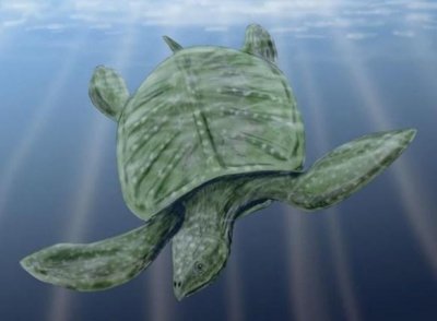 ​世界上最大的巨型乌龟, 古巨龟重达两吨