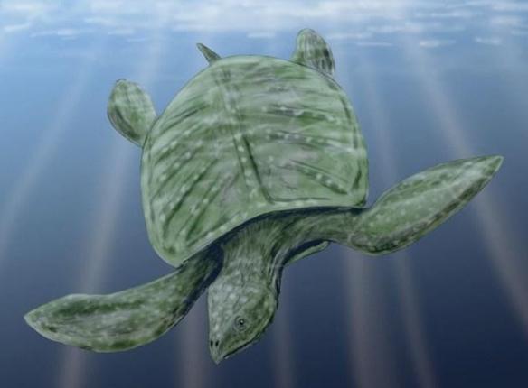 世界上最大的巨型乌龟, 古巨龟重达两吨