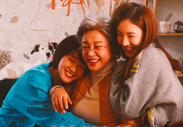 徐帆演一个母亲的电视剧(徐帆主演的电视剧大全) 徐帆 第7张