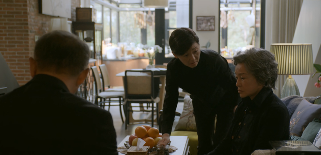 徐帆演一个母亲的电视剧(徐帆主演的电视剧大全) 徐帆 第10张