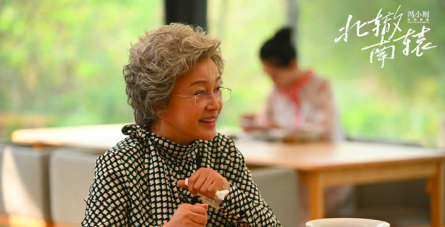 徐帆演一个母亲的电视剧(徐帆主演的电视剧大全) 徐帆 第4张