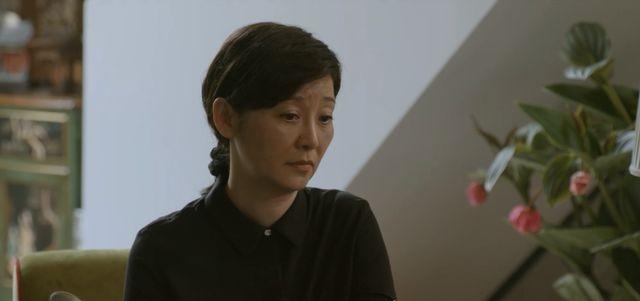 徐帆演一个母亲的电视剧(徐帆主演的电视剧大全) 徐帆 第11张