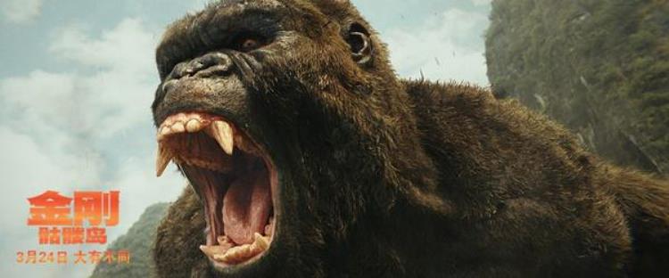 哥斯拉大战金刚电影剧透「金刚观影归来大量剧透片尾哥斯拉出没请注意」