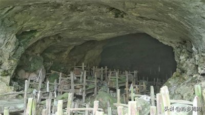 ​贵州洞葬习俗，山洞里摆满了100多具棺椁，距今已有600多年历史