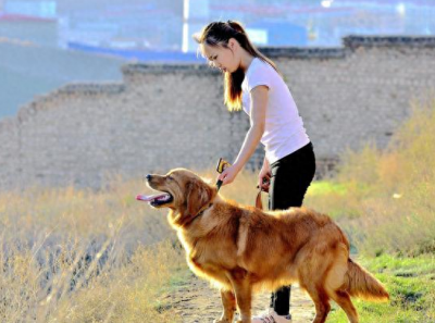 ​悄悄告诉你，女孩子爱养大狗的原因