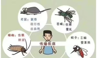 ​四害是指哪4种，四害是指哪四种害？