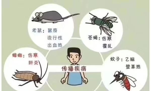 四害是指哪四种害