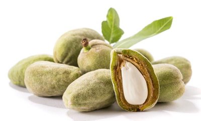 ​苦杏仁中毒 过量食用会致呼吸麻痹甚至死亡