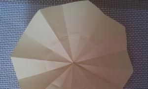 花的折法，手工之向日葵花的折法？图9