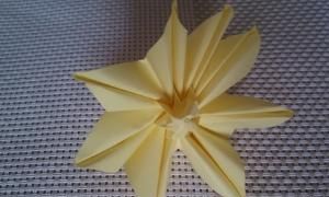 花的折法，手工之向日葵花的折法？图15