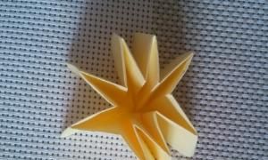 花的折法，手工之向日葵花的折法？图12