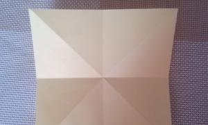 花的折法，手工之向日葵花的折法？图3