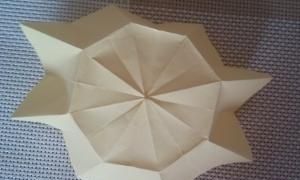 花的折法，手工之向日葵花的折法？图10