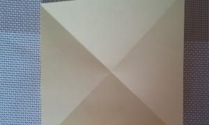 花的折法，手工之向日葵花的折法？图2