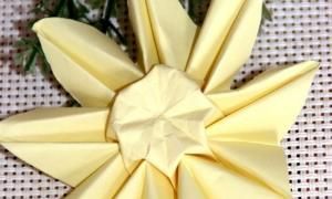 花的折法，手工之向日葵花的折法？图16