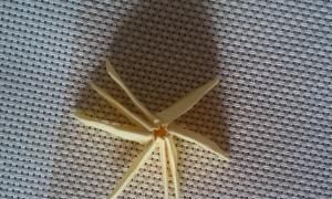 花的折法，手工之向日葵花的折法？图14