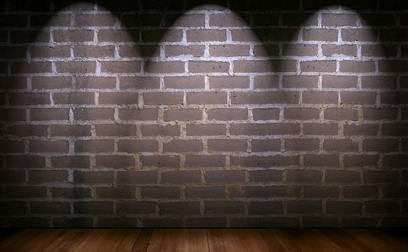 最好养的金鱼品种有哪些（十大最好养的金鱼）(图5)