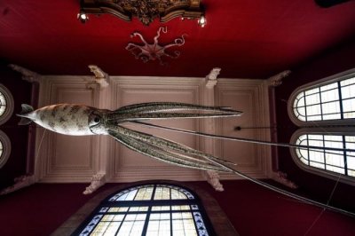 ​世界十大著名海洋博物馆，中国国家海洋博物馆上榜