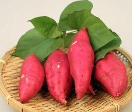 王婆卖瓜中的王婆是男的还是女的，「王婆卖瓜，自卖自夸」中，王婆卖的是什么瓜？古代真的有吗？图2