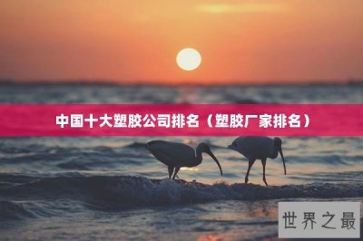 ​中国十大塑胶公司排名（塑胶厂家排名）