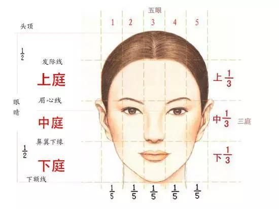 鲁豫新发型神似郭碧婷，发际线高原来要留这种刘海！