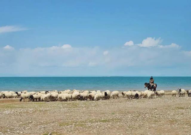 环青海湖骑行攻略（4天360公里环青海湖骑行）(21)