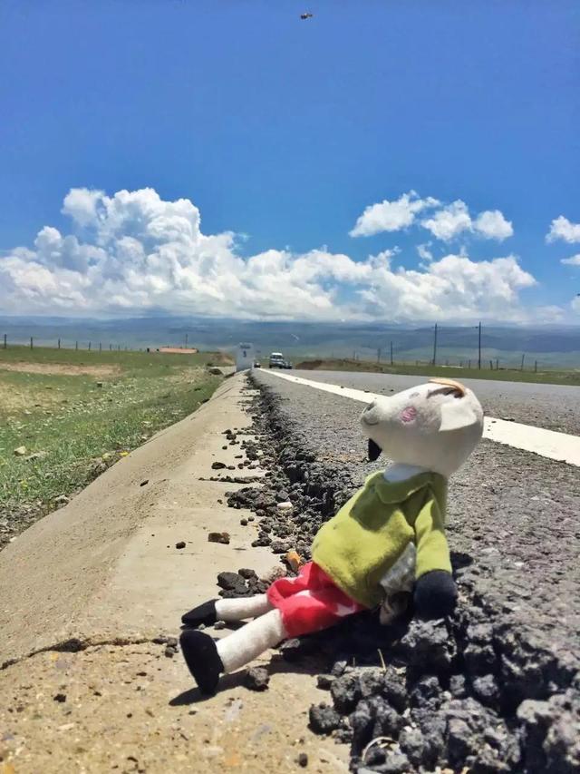 环青海湖骑行攻略（4天360公里环青海湖骑行）(13)