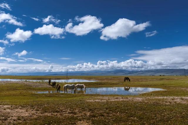 环青海湖骑行攻略（4天360公里环青海湖骑行）(31)