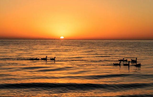 环青海湖骑行攻略（4天360公里环青海湖骑行）(29)