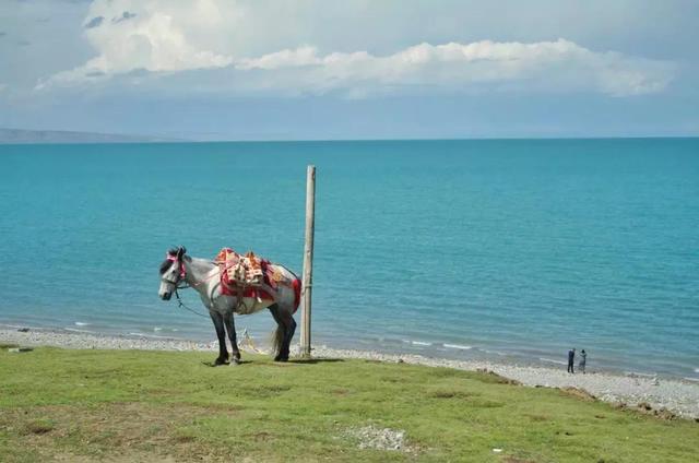 环青海湖骑行攻略（4天360公里环青海湖骑行）(24)