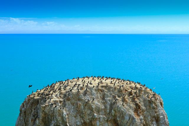 环青海湖骑行攻略（4天360公里环青海湖骑行）(34)