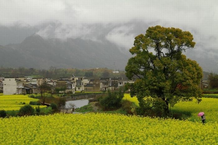 河南“最穷”的三个县,一个在商丘,一个人口百万,有你家乡吗?