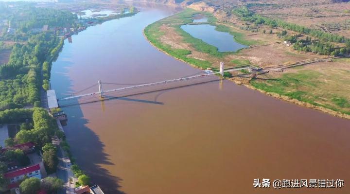 枸杞哪个牌子正宗（高品质正宗宁夏枸杞推荐）