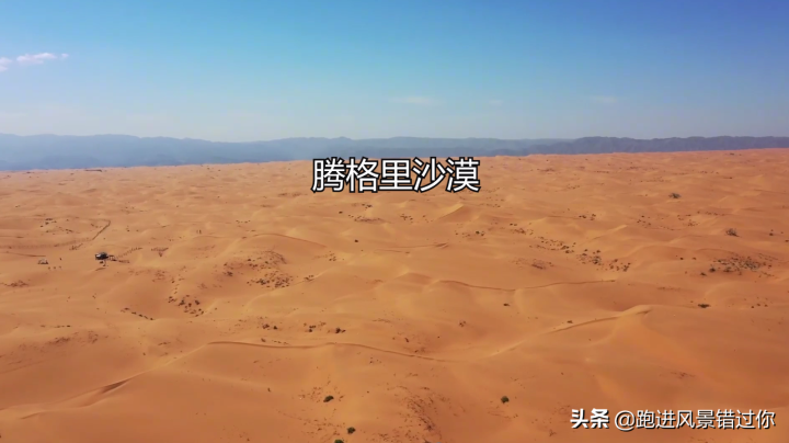 枸杞哪个牌子正宗（高品质正宗宁夏枸杞推荐）