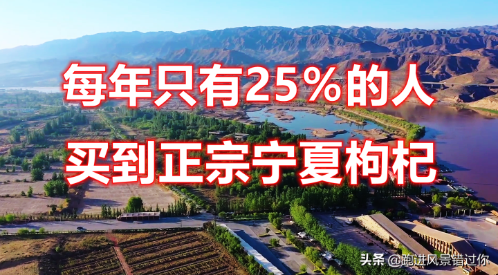 枸杞哪个牌子正宗（高品质正宗宁夏枸杞推荐）