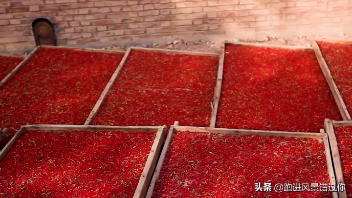 枸杞哪个牌子正宗（高品质正宗宁夏枸杞推荐）