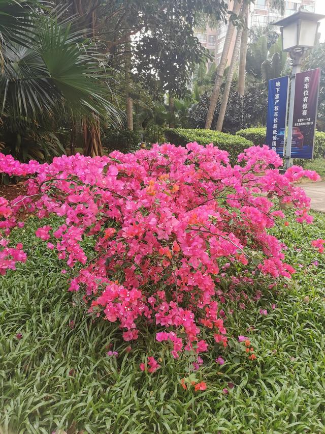 生活可以苟且但一定要有诗与远方（你眼里怎么看苟且）(2)