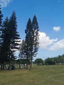 ​生活可以苟且但一定要有诗与远方（你眼里怎么看苟且）