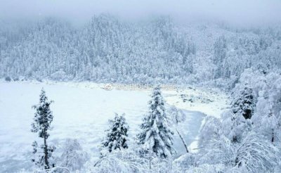 ​社交恐惧症吃什么药（怎样治疗社交恐怖症）