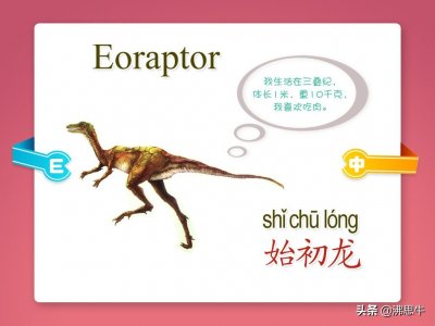 ​《恐龙图谱》带你认识各种恐龙