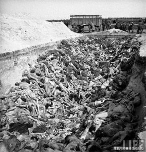 ​瑞典贵族救囚犯，福尔克·贝尔纳多特的真实历史震惊世人！