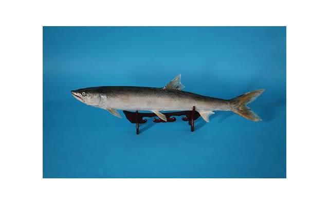 相亲女是情场高手