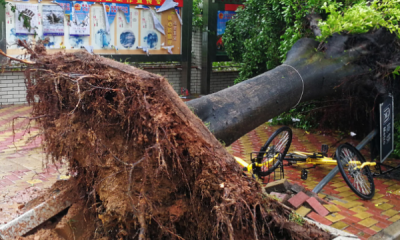 ​14级台风有多大威力,4级台风威力有多大