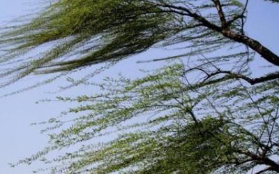 14级台风有多大威力,4级台风威力有多大图8