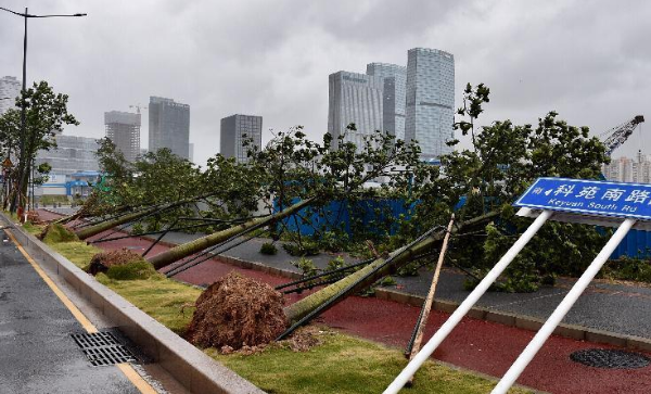 14级台风有多大威力,4级台风威力有多大图2