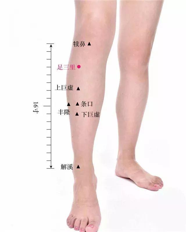 三伏贴具体操作（三伏贴全攻略）(7)