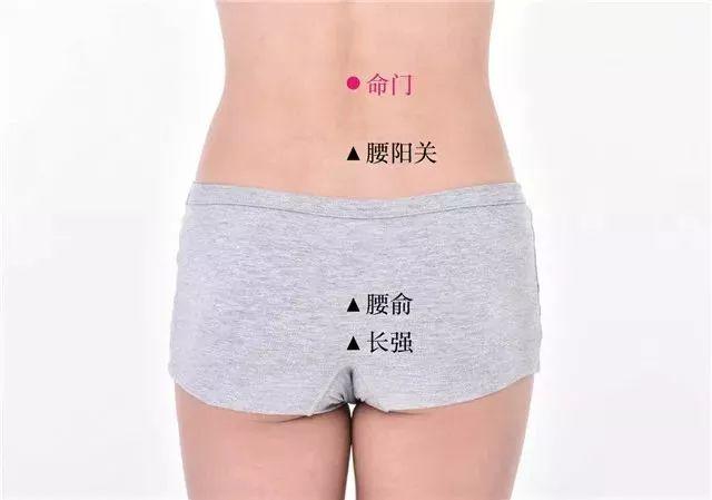 三伏贴具体操作（三伏贴全攻略）(3)