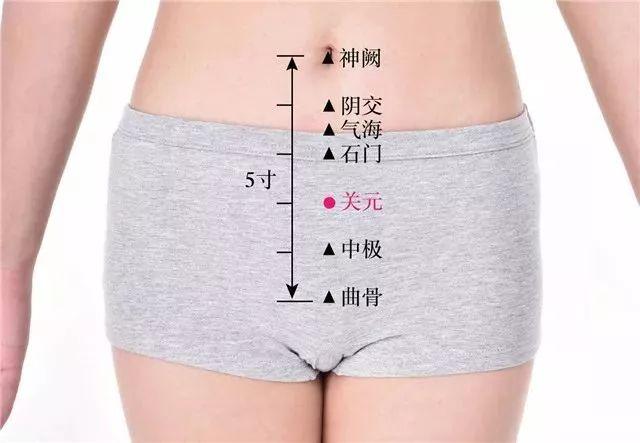 三伏贴具体操作（三伏贴全攻略）(5)